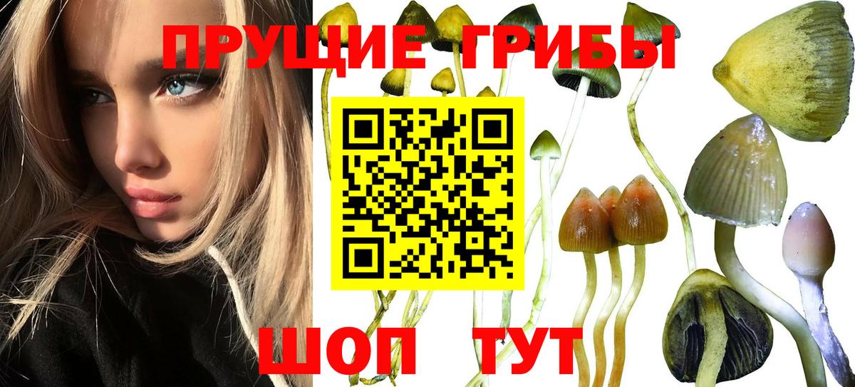 Псилоцибиновые грибы мухоморы Сыктывкар